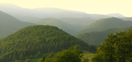 Príroda, Slovensko, foto: www.e-led.sk